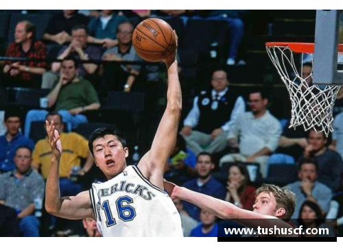 NBA165球员：探索巅峰之路