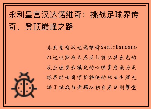 永利皇宫汉达诺维奇：挑战足球界传奇，登顶巅峰之路